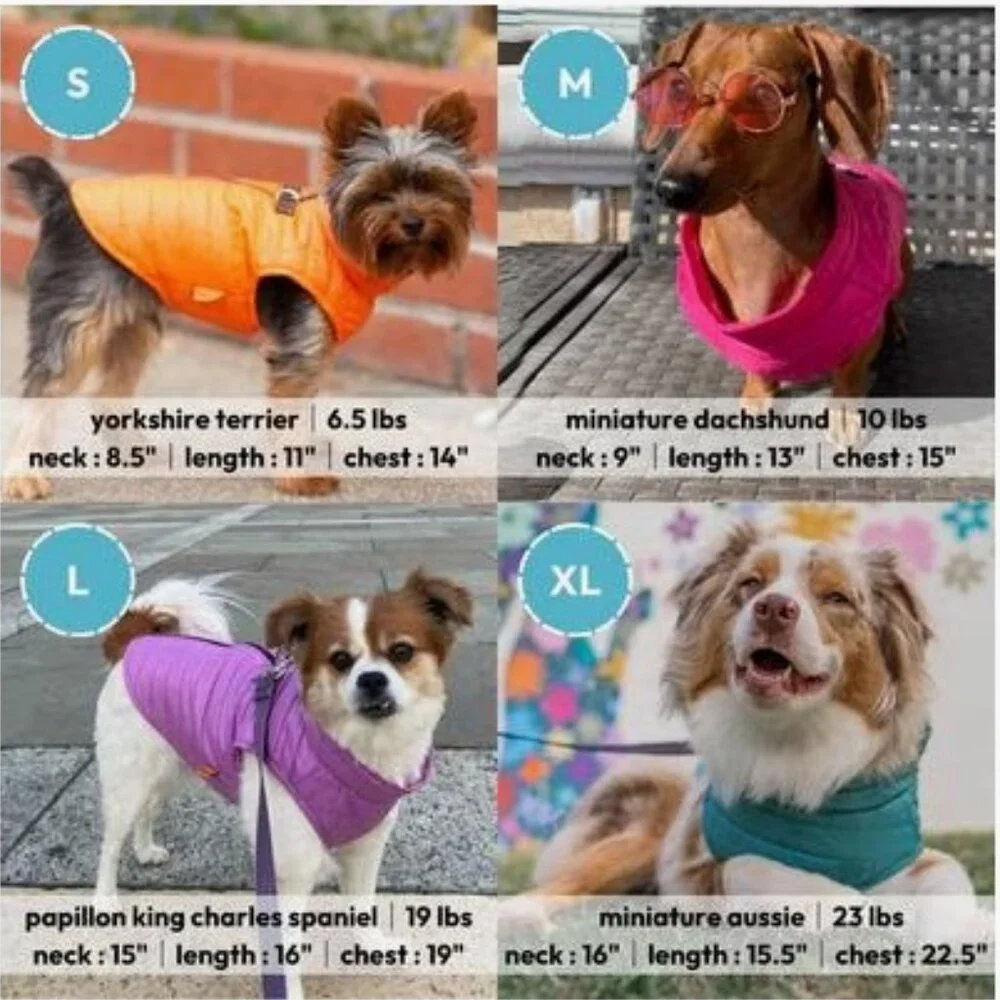 New with tags! Gooby Puffer Dog jacket.  Blue.  Small: 15-in chest